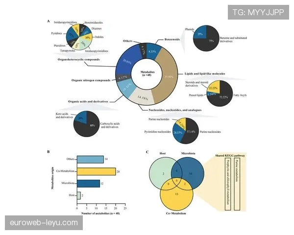 美因茨数据分析揭示交通拥堵根源，提出系统性改善方案