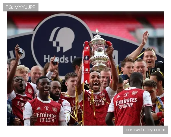 阿森纳在足总杯中保持强大实力,顺利晋级下一轮表现稳健 阿森纳在足总杯中保持强大实力,顺利晋级下一轮表现稳健